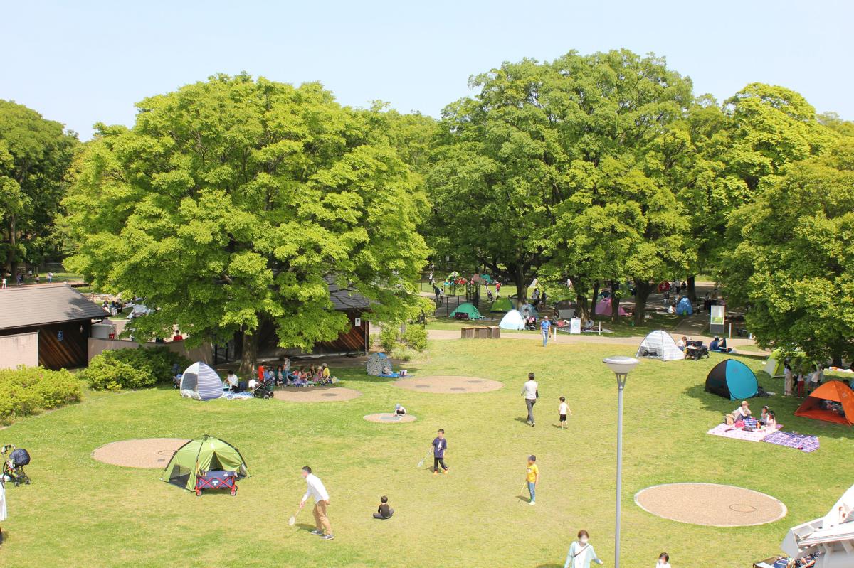 春の園内の様子