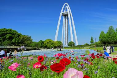 ツインアーチ138とメモフィラ・シャーレ―ポピー