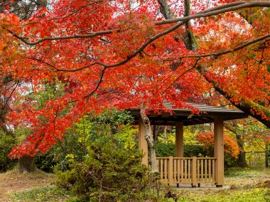 萬葉公園