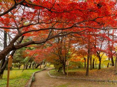 萬葉公園