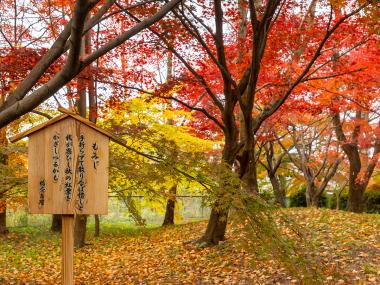 萬葉公園